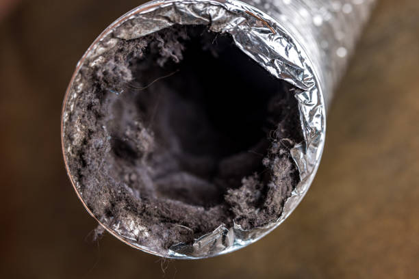 Best General Air Duct Cleaning  in Untain View, MO
