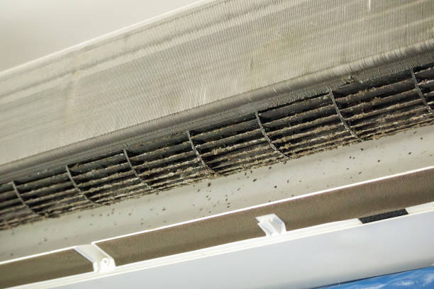Best Best Air Duct Cleaning Company  in Untain View, MO